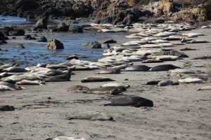 Imported Photos 01194