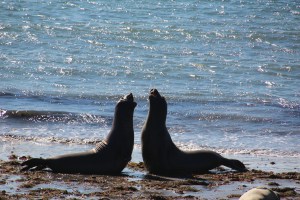 Imported Photos 01207