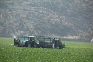 Imported Photos 01330 (Small)