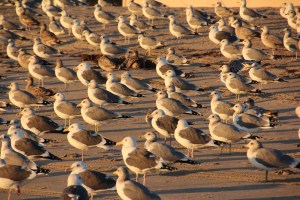 Waiting for the next flight