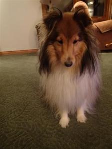 Open it already Mama!