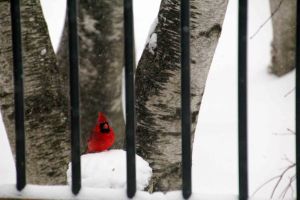 Imported Photos 01584