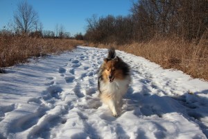 Imported Photos 01586