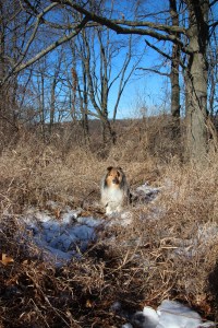 Imported Photos 01591