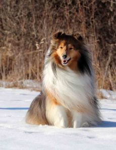 Imported Photos 01604