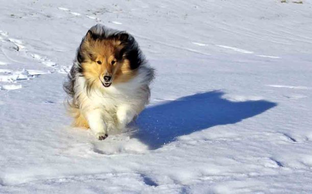 Imported Photos 01630