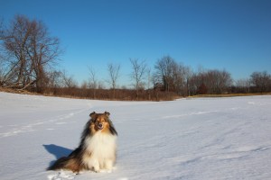 Imported Photos 01636