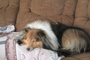 Imported Photos 01664