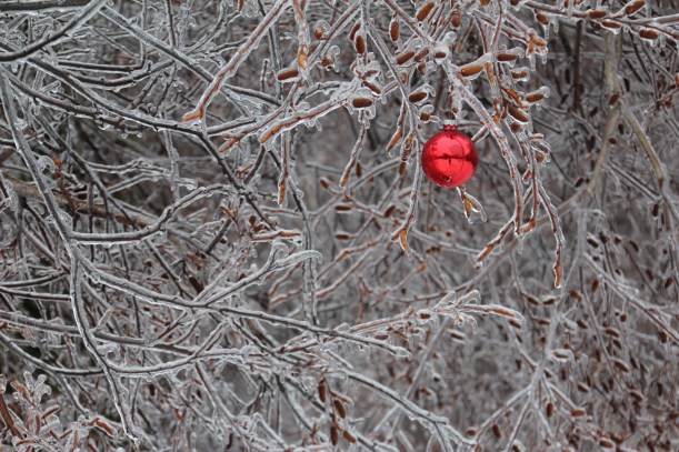 Imported Photos 01665