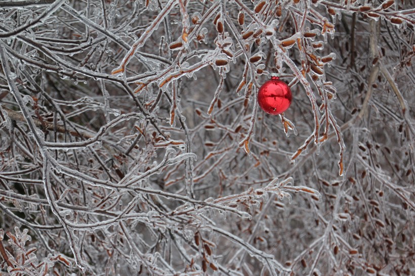 Imported Photos 01665