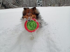 Only bringing this back ONCE Mama!