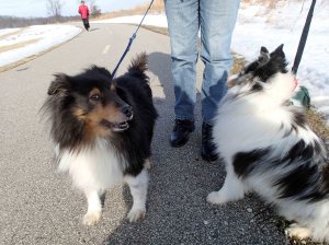 Could have been new friends!