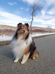 Mama thought the tree was cool.