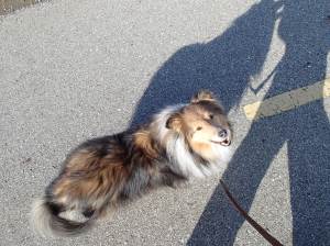 Were you talking to ME mama?