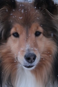 Imported Photos 00133