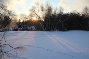 Sun sinks on another day.