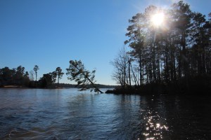 Sunshine....on my shoulders...