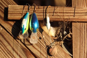 Fishing lures glow in warm sunlight.