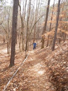 Walking through the woods on a sunny day.