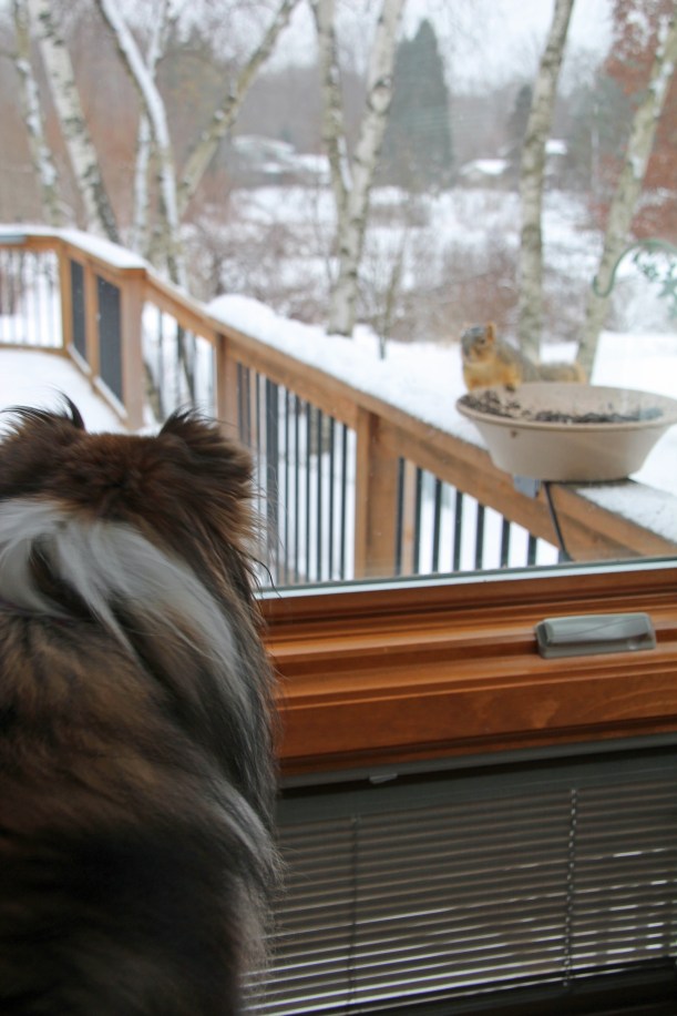 Imported Photos 00138_edited-1