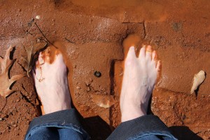 Imported Photos 00147