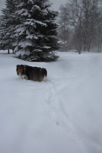 Hey Mama! What happened to my path?