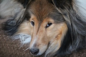 This is supposed to be my NAP time Mama!