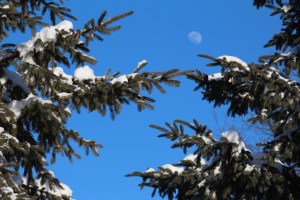 The moon smiles down.