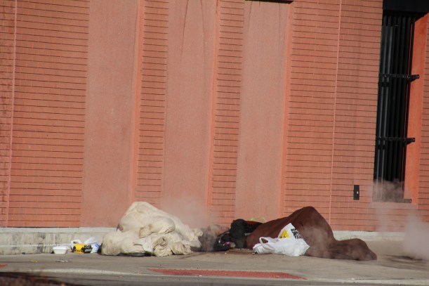 Imported Photos 00037