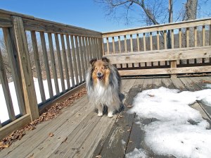 Mama likes this deck!