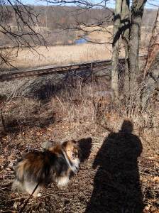 Can't we go down there?