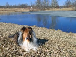 The water looks cold!