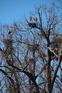 Imported Photos 00528