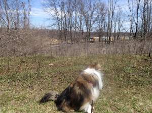 Hey Mama!  What's THAT?