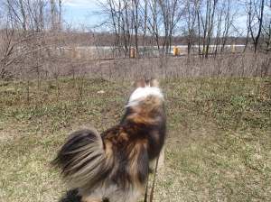 Get out of here train!