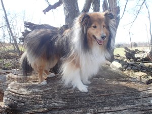 I'll pose for cheese.