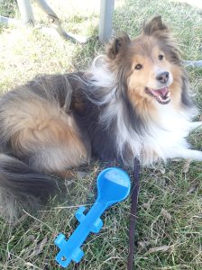 Chillin in the shade