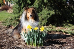 Imported Photos 00664