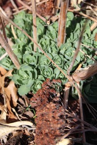 Imported Photos 00679