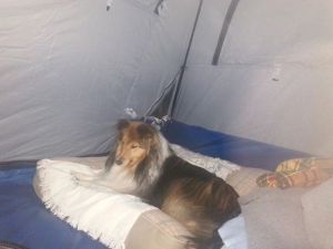 Much better. No plaid.