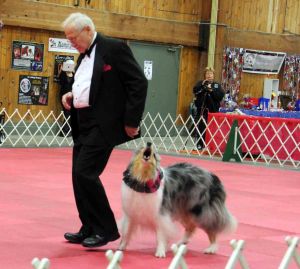 Imported Photos 00195