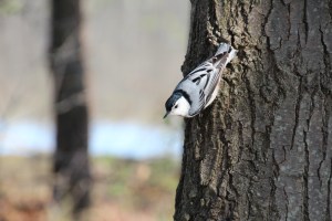 He was curious about me.