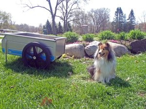 Mama filled this cart up with weeds.