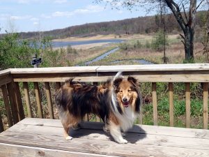 See how pretty it is here?