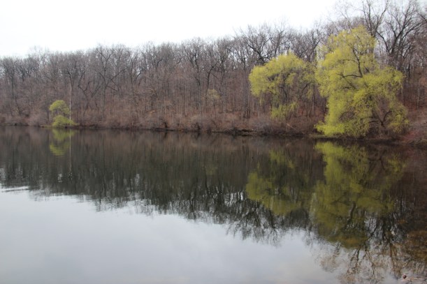 Imported Photos 00694