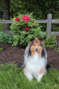 Hey Mama!  This one made it!