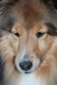 Imported Photos 00852