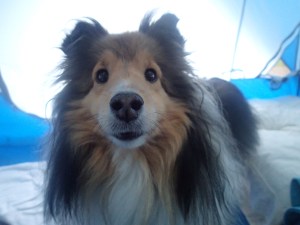 Can we go again soon mama?