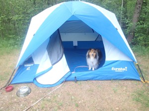 Where did my pillow go mama!?