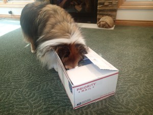 Something smells good!